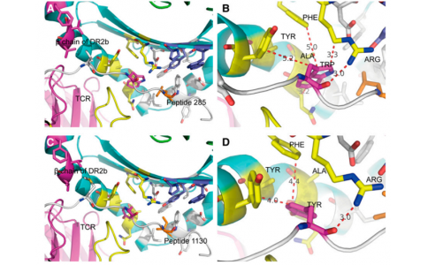 北京大学生命联合中心赵明辉实验室发表文章