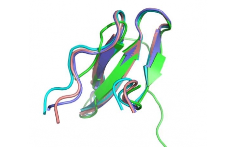 一·、在北极星集群上提交RoseTTAFold-All-Atom------PDB格式