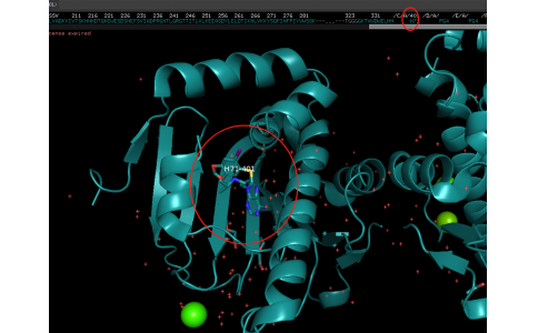 alphafold3蛋白和小分子相互作用（一）8ssv json模板，小分子结构库里有的（2024年11月结构）