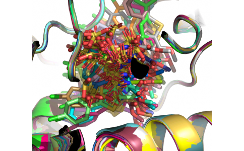 五、在北极星集群上提交RoseTTAFold-All-Atom------和小分子共价相互作用
