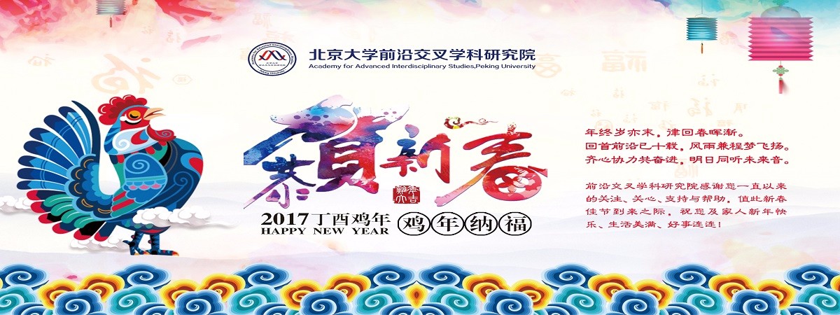 2017 New Year's Eve Party in AAIS