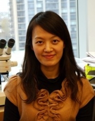 YIN LIU