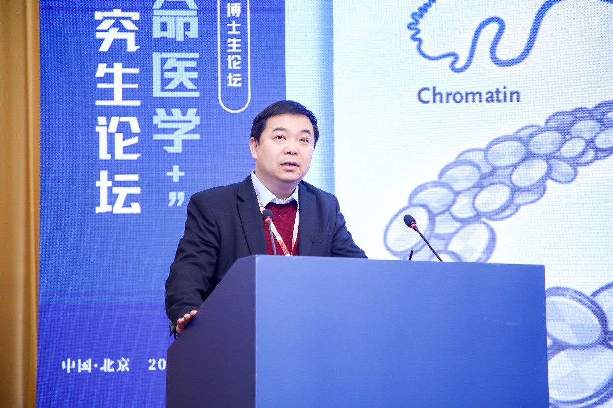 网站关键词 网站关键词