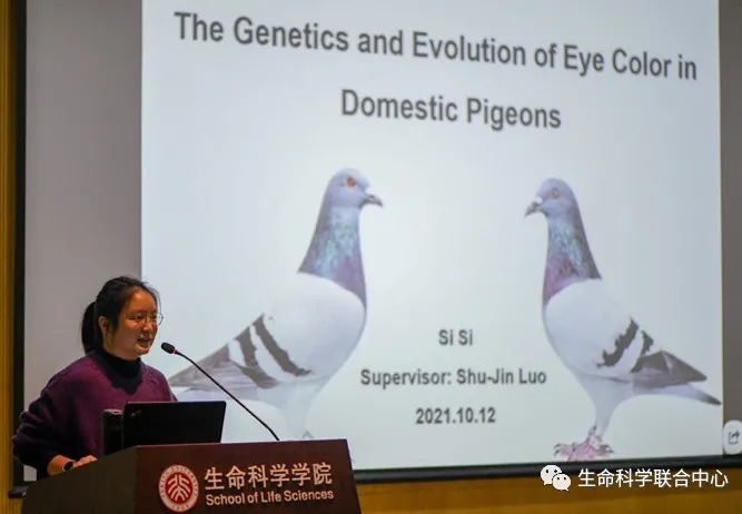 网站关键词 网站关键词
