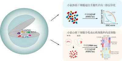网站关键词 网站关键词