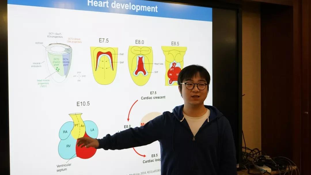 网站关键词 网站关键词